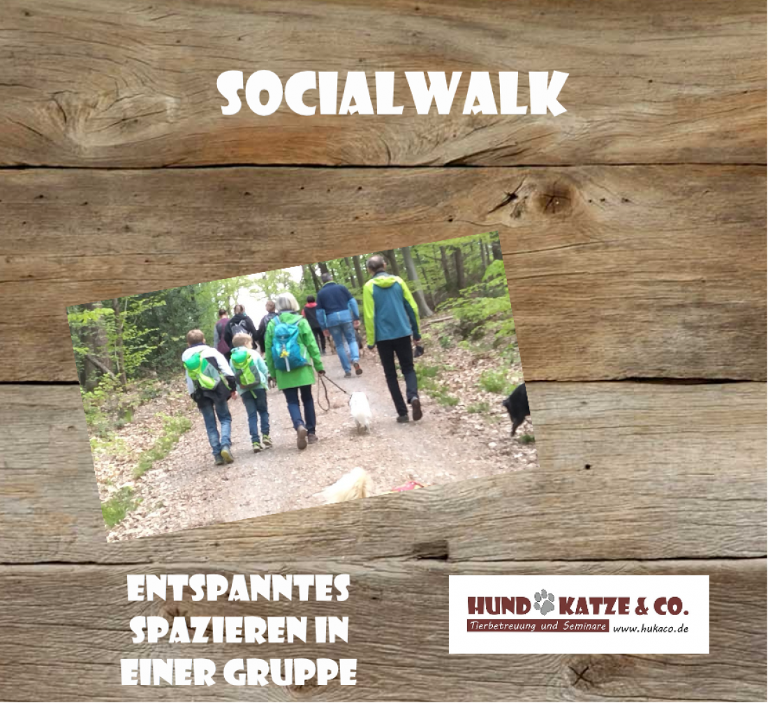 Gemeinsam entspannt unterwegs: Unsere Social Walks